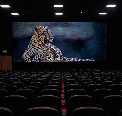 pantalla LED auditorio