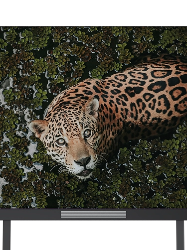 pantallas-led.shinelink.multiple_os_compatibility.image_alt